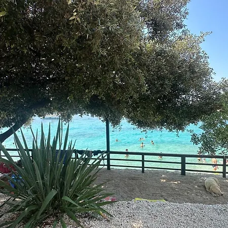 Medusalina-bora