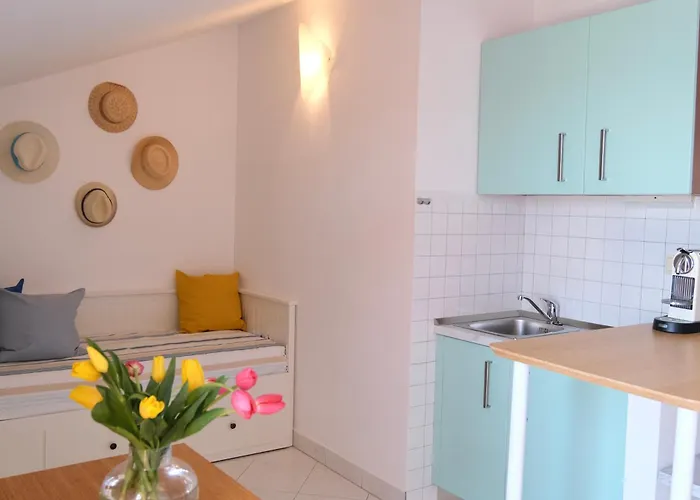 Medusalina-bora * Trogir