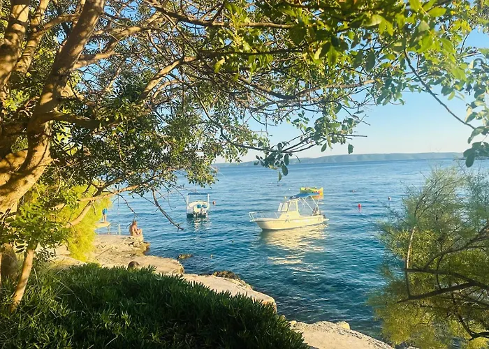 Medusalina-bora Trogir