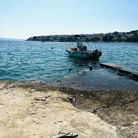 Medusalina-bora Traù