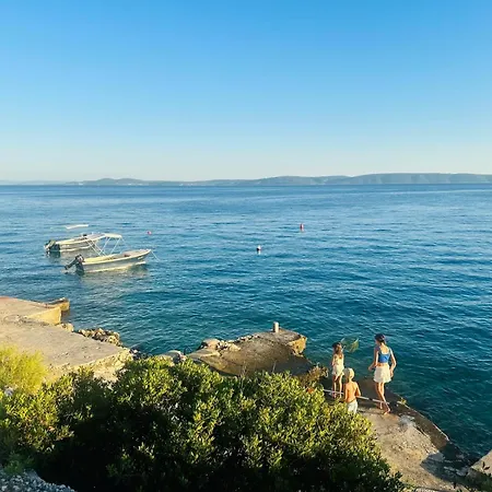 Medusalina-bora * Traù