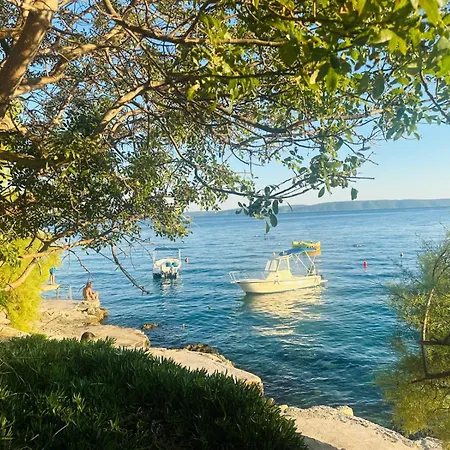 Medusalina-bora Traù