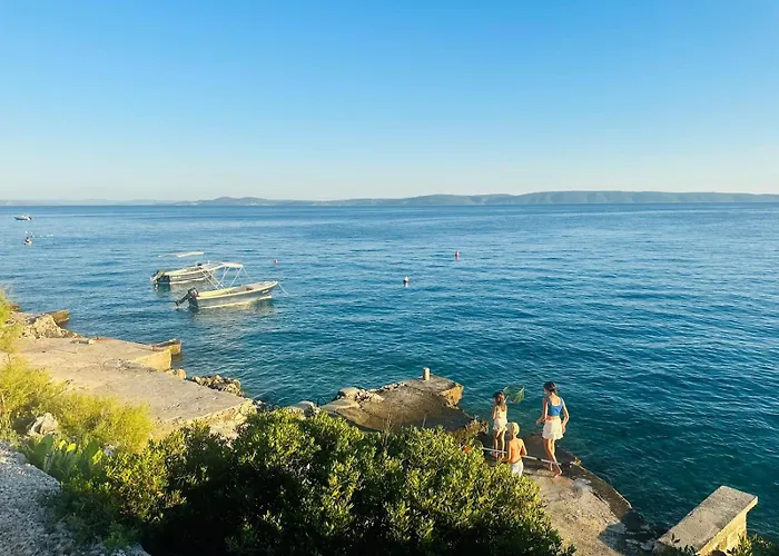 Medusalina-bora * Trogir